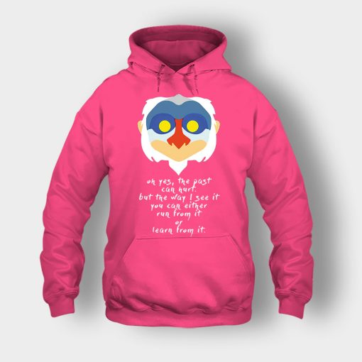 The-Past-Can-Hurt-The-Lion-King-Disney-Inspired-Unisex-Hoodie-Heliconia